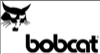 Bobcat